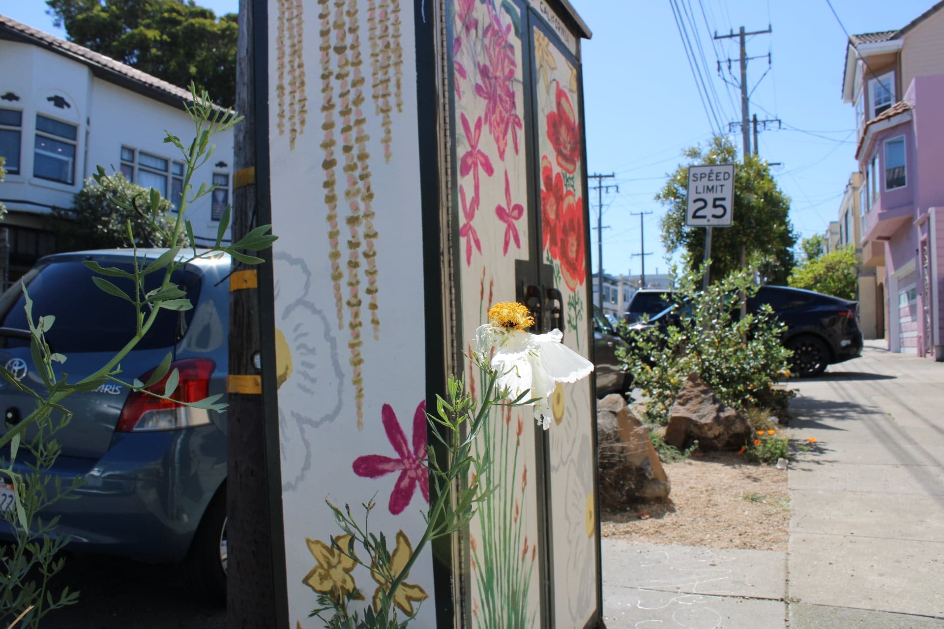 Utility box mural