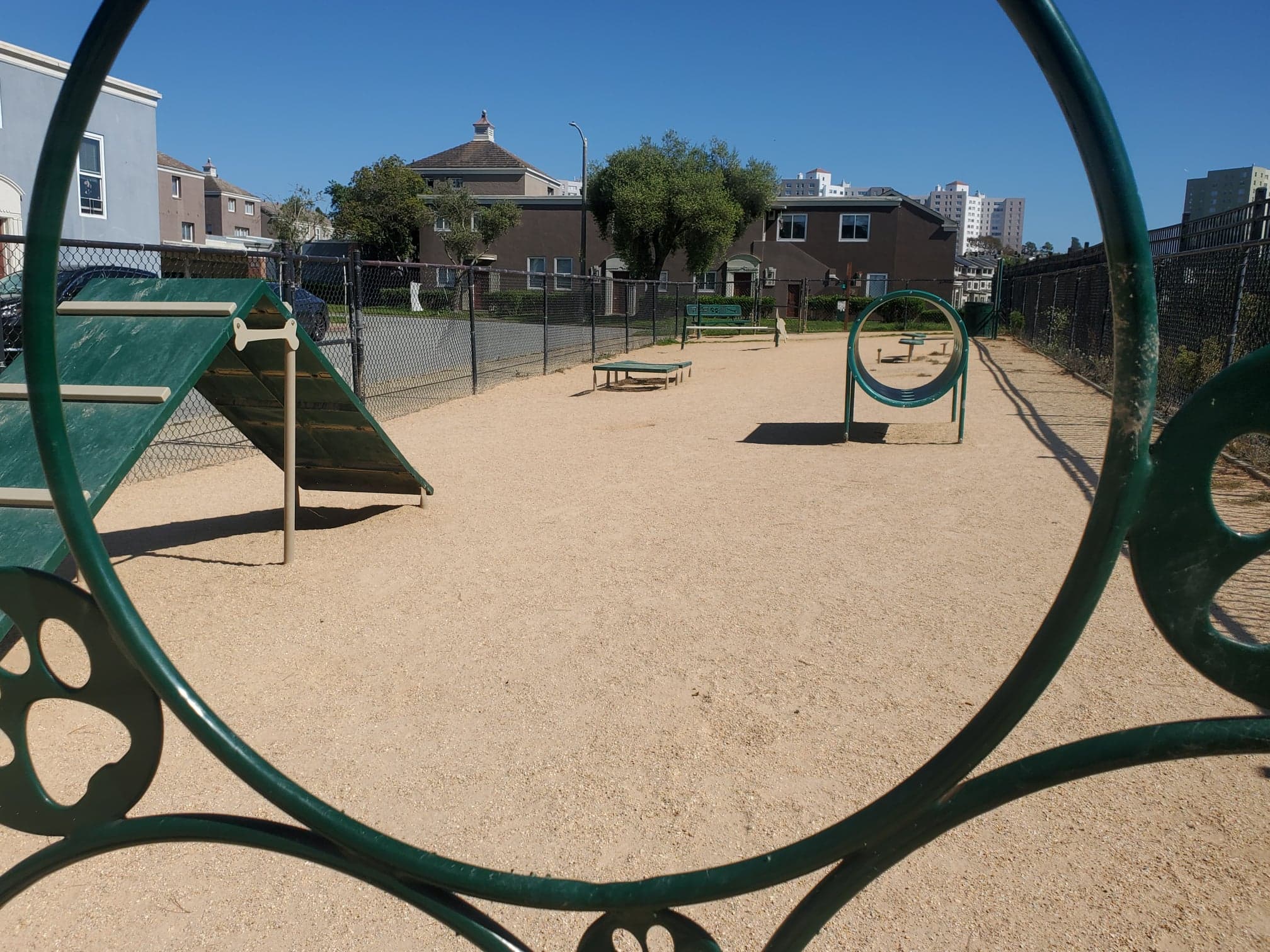 Dog agility equipment.