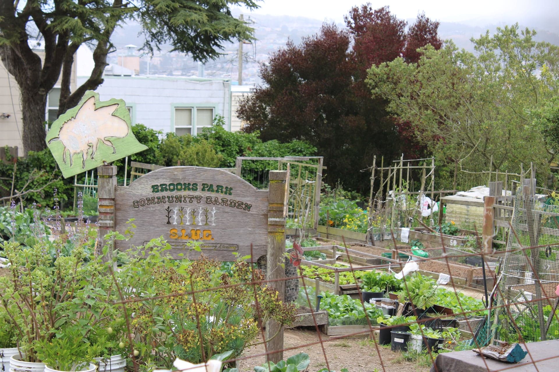 Community Garden