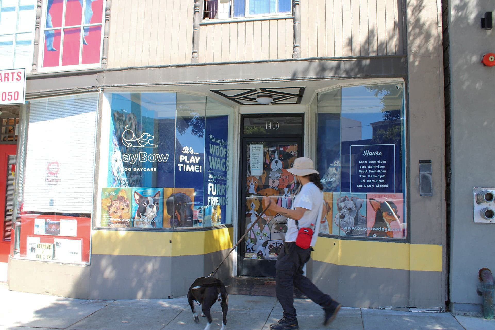 Dog walker in front of storefront