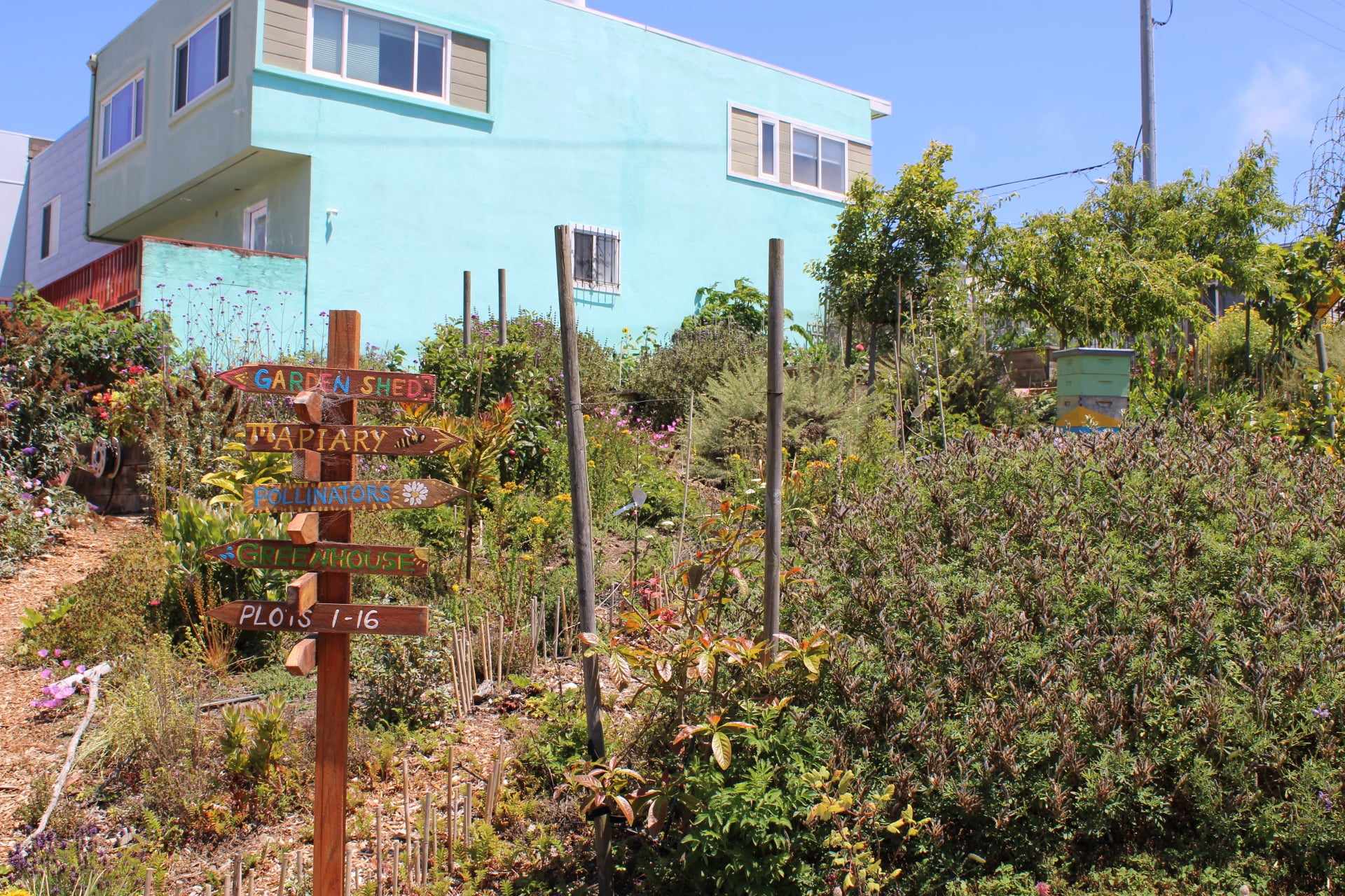 Plants with signage and an beehive