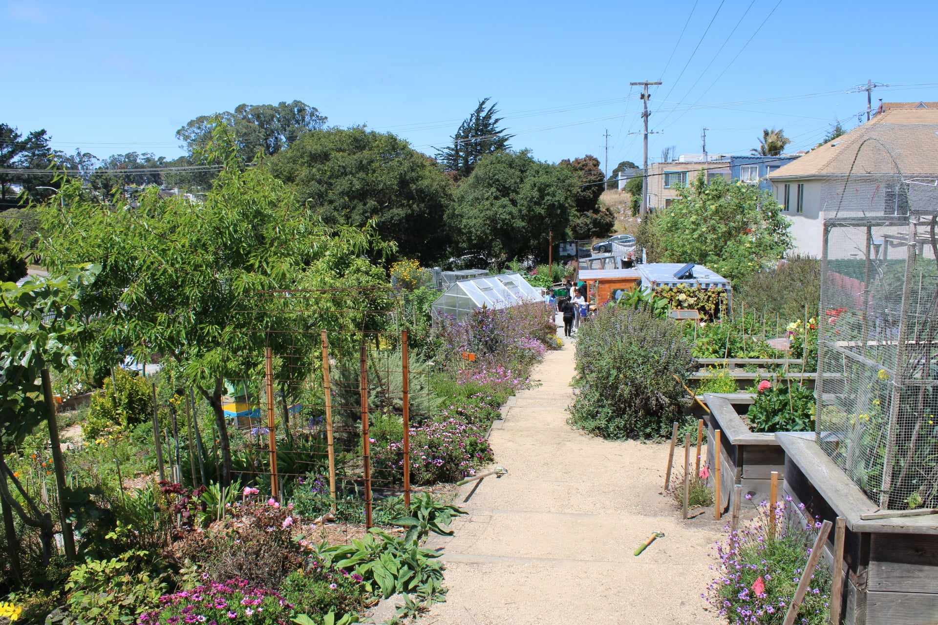 Sisterhood Gardens path