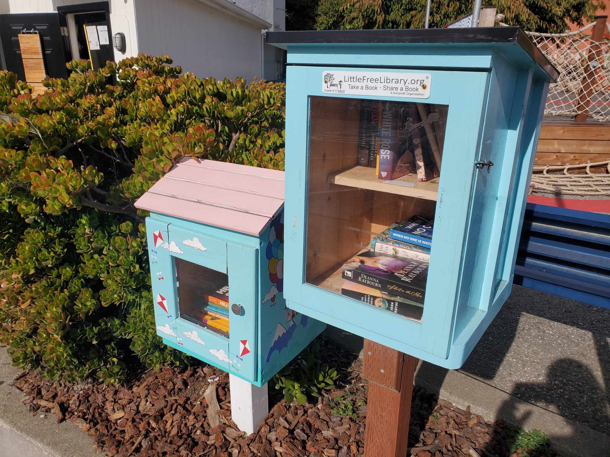 Two blue Little Free Libraries with many books inside beside a parking lot converted into a gathering space.