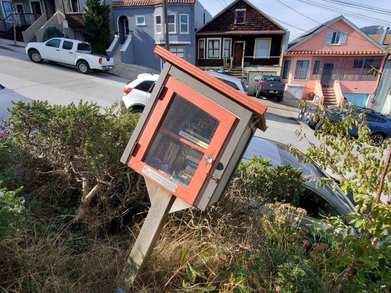 A library box stands in an overgrown area on the sidewalk.