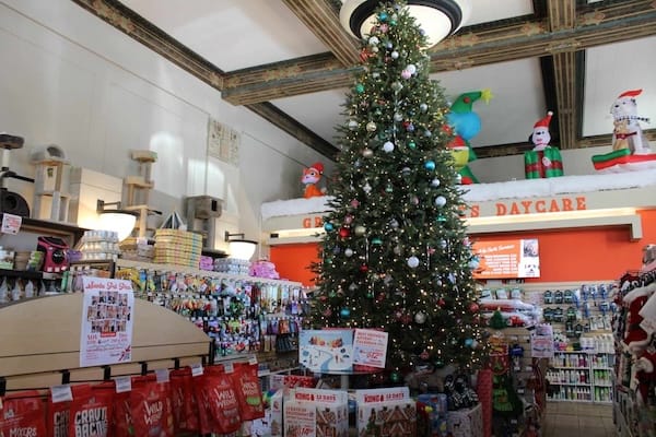 Christmas tree in store
