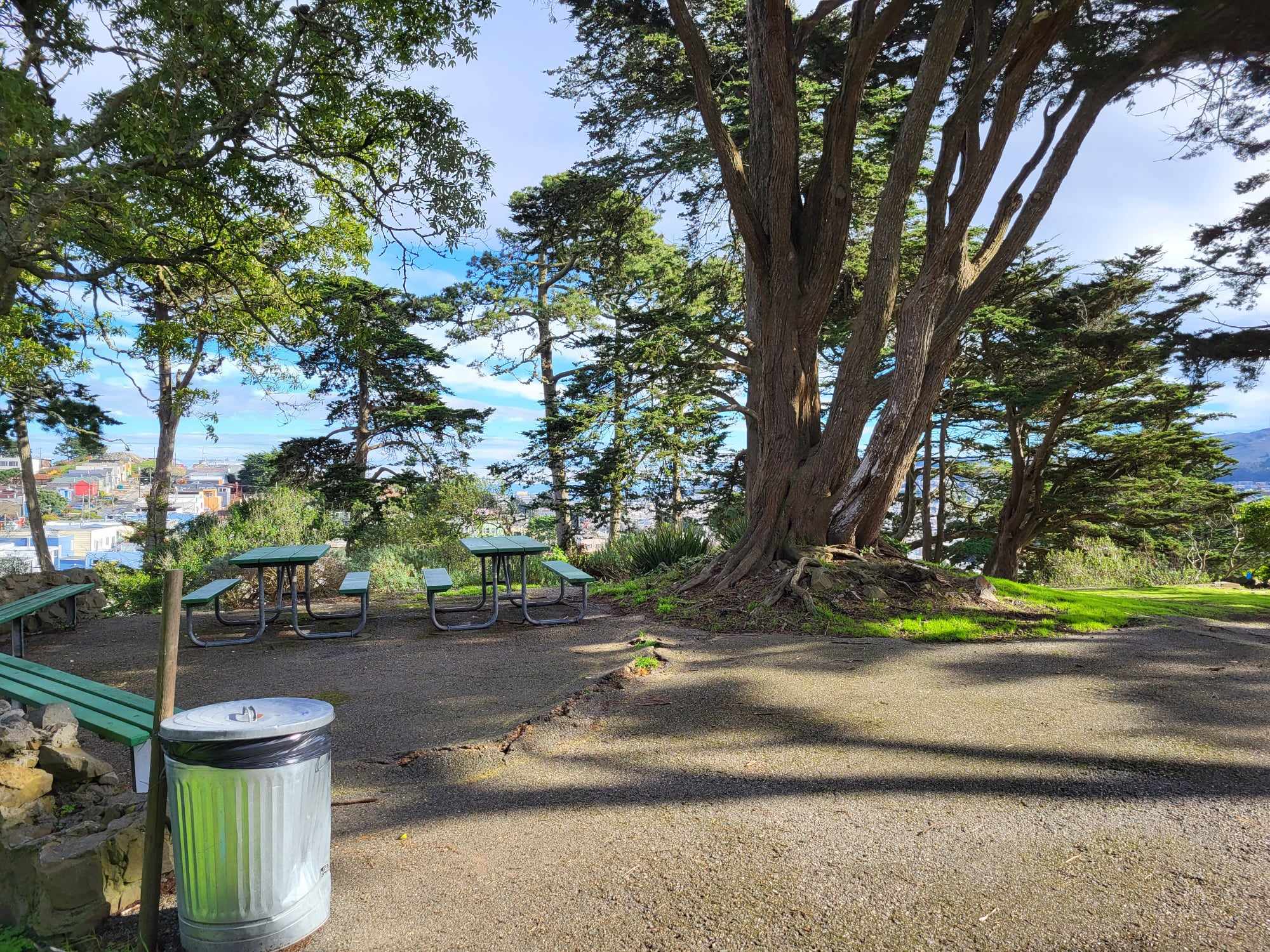 Park with benches and sidewalk damaged by tree roots