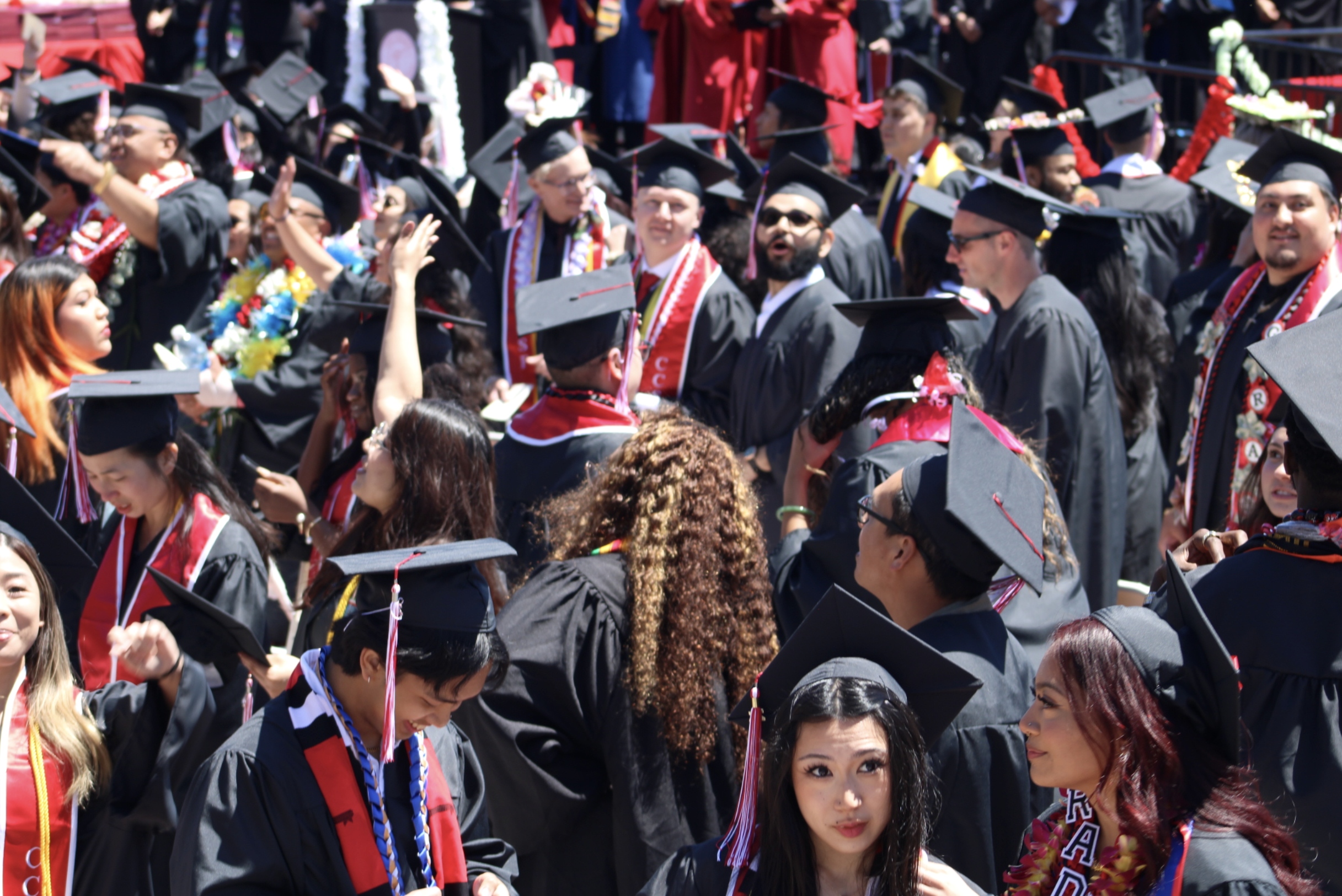 A group of graduates.