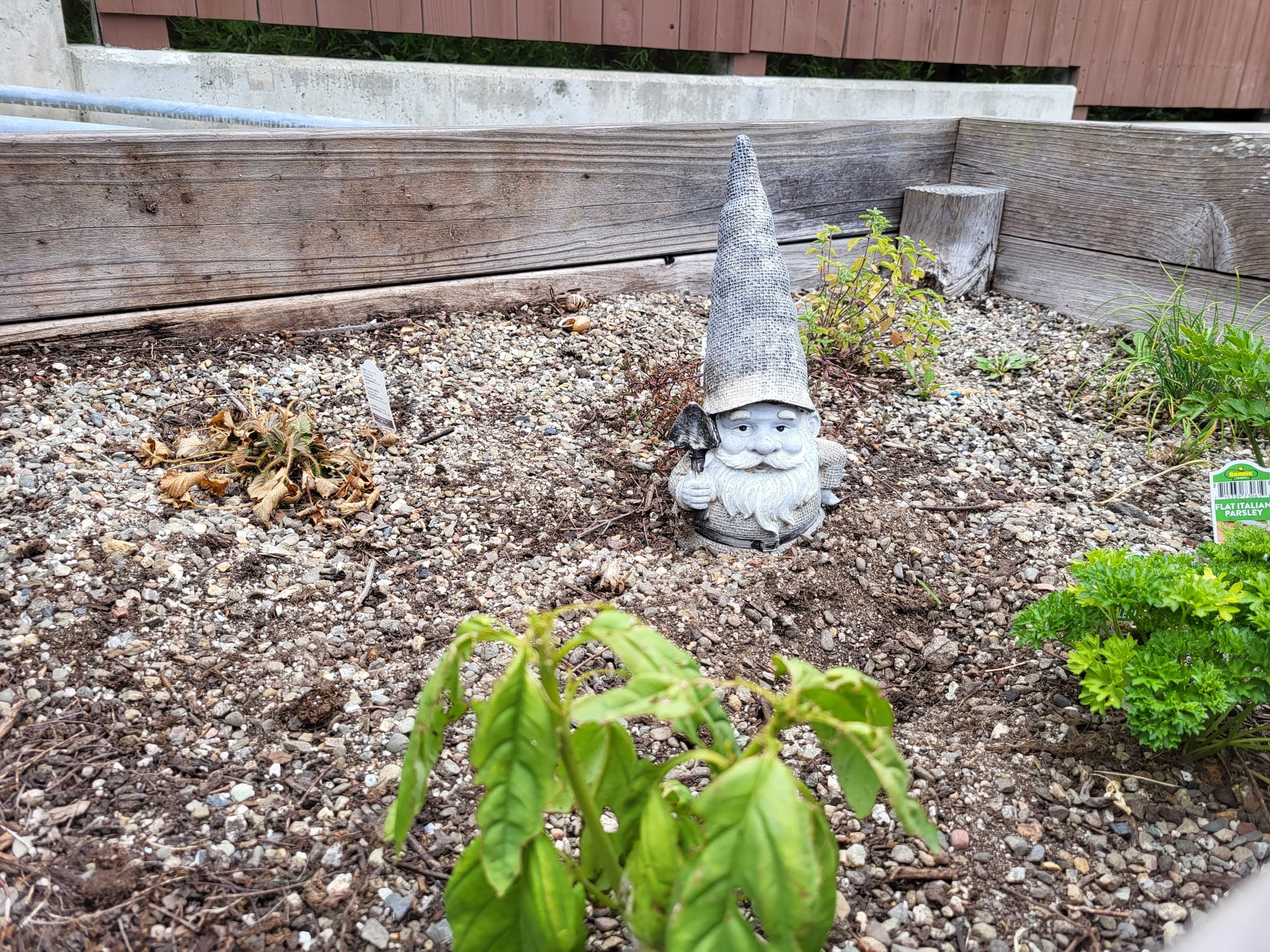 A gnome.