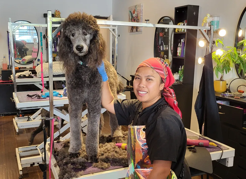 Groomer with dog.