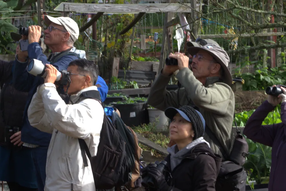 Birders.