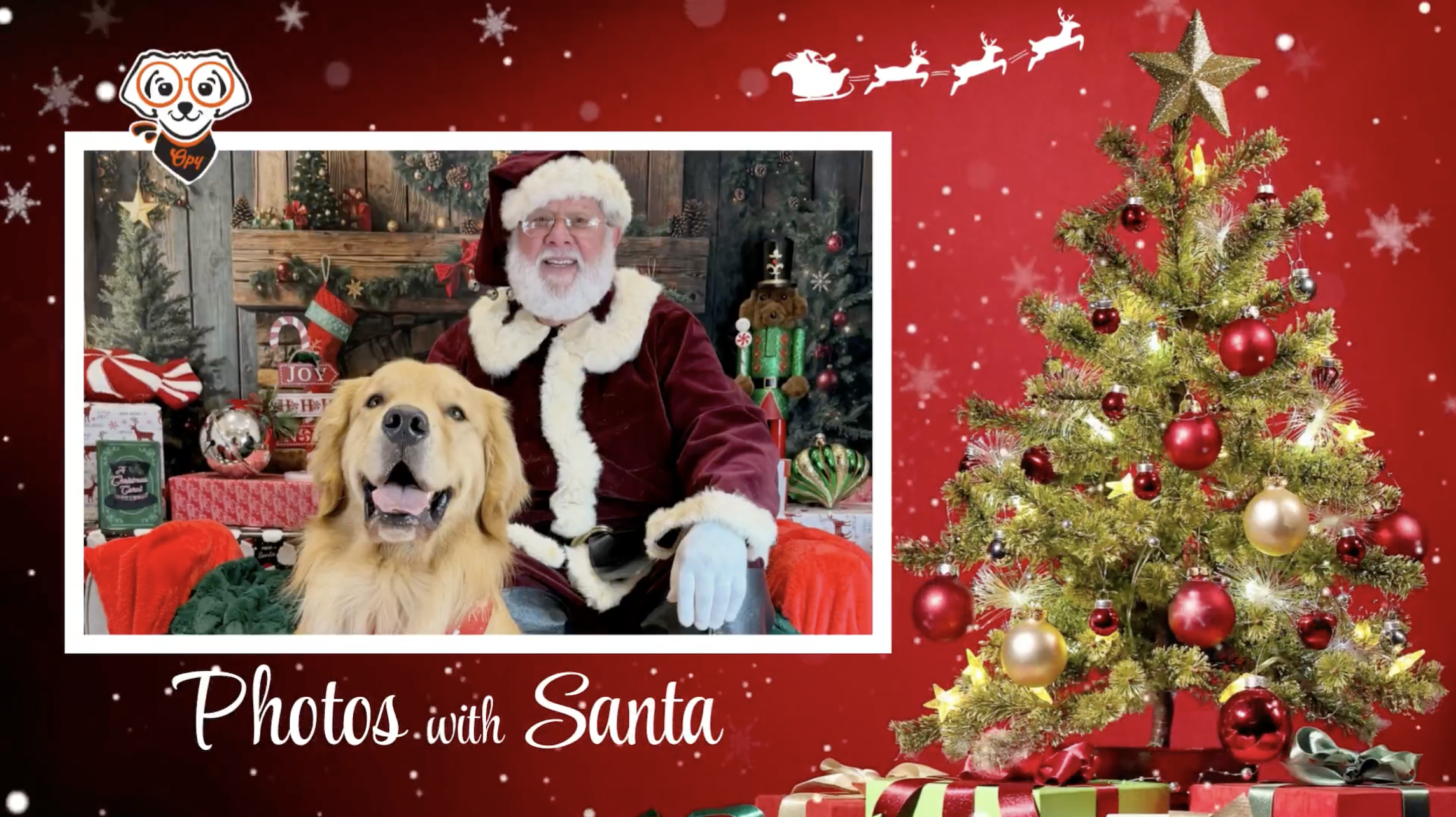 🔶 Things To Do In The Greater Ingleside: Holiday Pet Photos