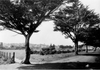 Balboa Park c