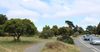 Openspace