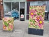 Painted utility boxes.