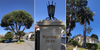 New Walking Tour Highlights the Street Trees of Westwood Park