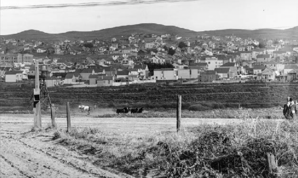 A Brief History of the Excelsior and Outer Mission Districts