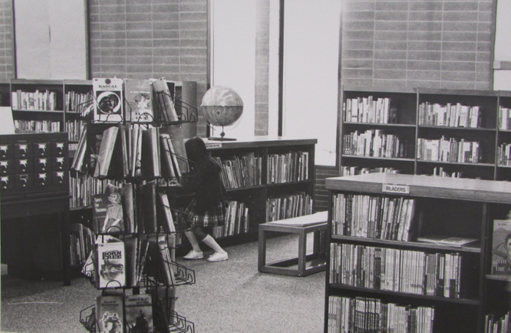 Politics and Patience The Story of the Excelsior Library